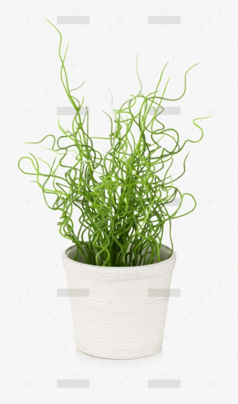 demo-attachment-41-Group-10171
